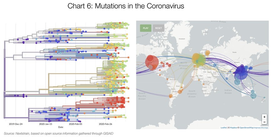 Screenshot Nextstrain: Mutationen von SARS-CoV-2
