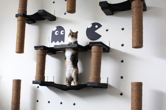 Gaming Katzenbaum
https://www.etsy.com/listing/260884225/the-pacman-complex-cat-hammock-shelves