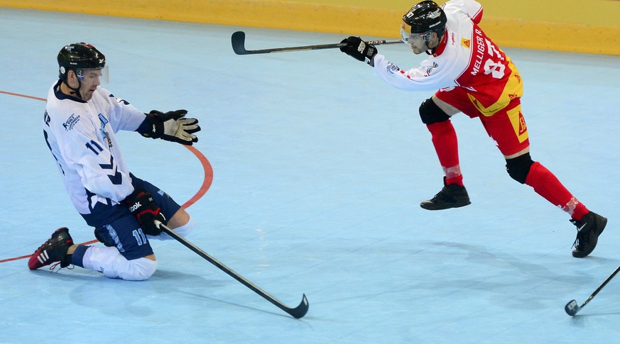 Vereinfacht gesagt: Streethockey ist Eishockey ohne Schlittschuhe.