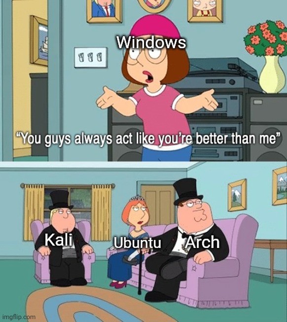 Kali, Ubuntu und Arch sind Linux-Distributionen.