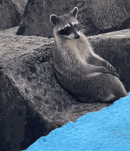 Animiertes GIF