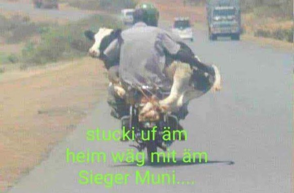 Ich bin wieder da! Hallo. PICDUMP. ЁЯе│
Aus aktuellem Anlass ЁЯШБ