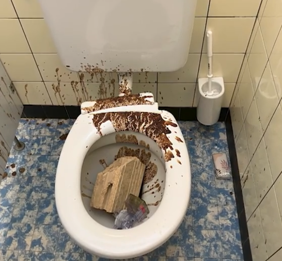 Vandalen Schulhaus Würenlingen Aargau