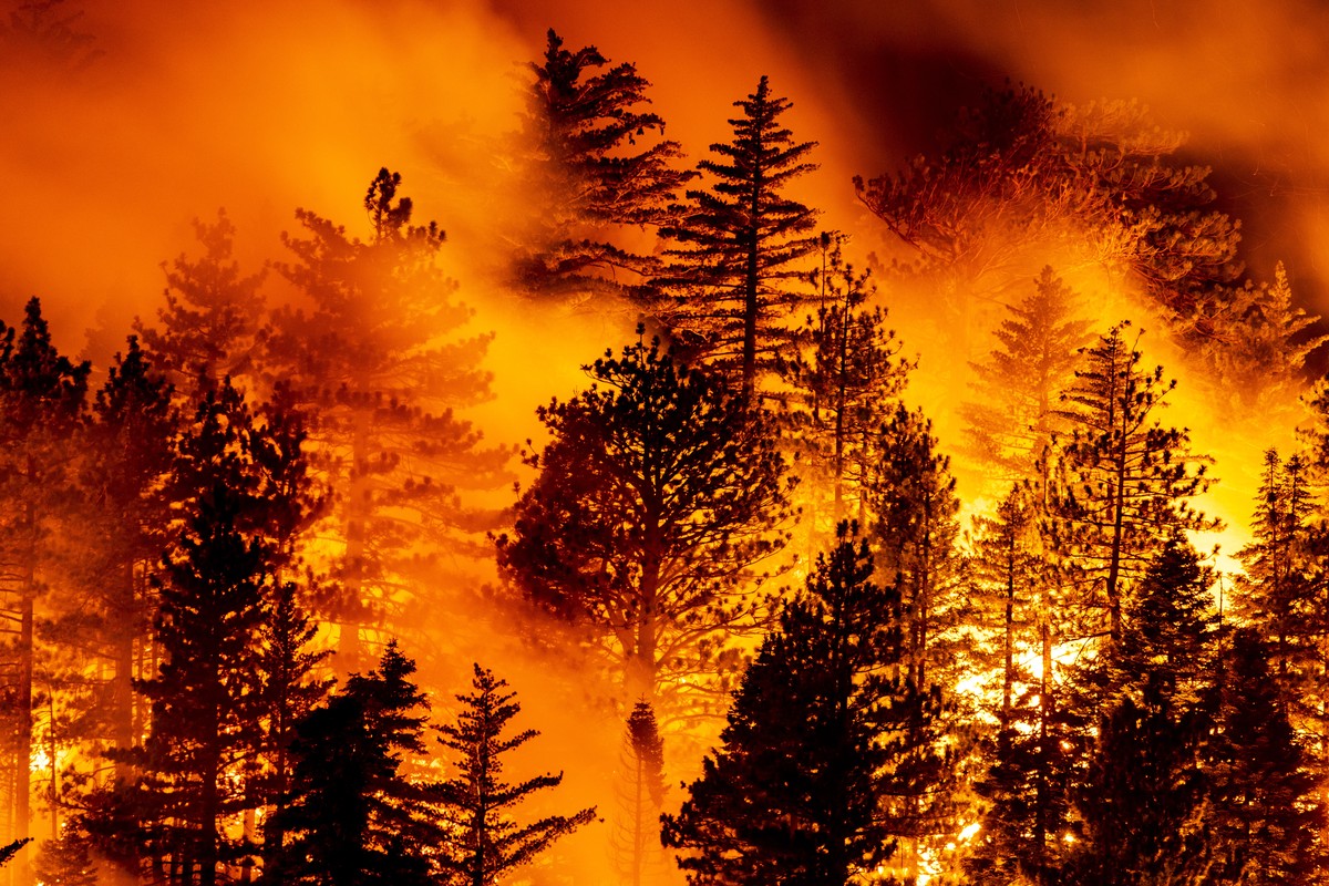 epaselect epa08663140 The Bobcat Fire progresses in the woods in the Angeles National Forest north of Monrovia, North East of Los Angeles, California, USA, 11 September 2020 (issued 12 September 2020) ...