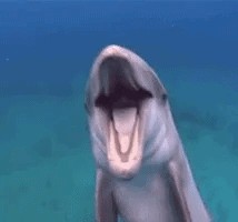 Animiertes GIF