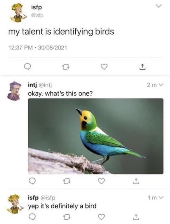 Picdump 36 вЂ“ du musst kein Chinesisch kГ¶nnen, um diese Top-Memes zu verstehen\nрџ¦…