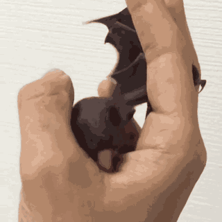 Animiertes GIF