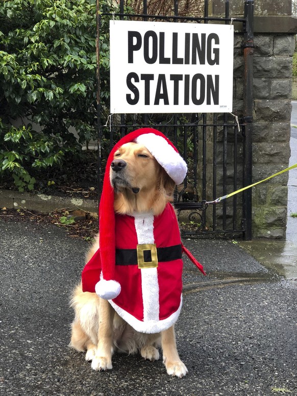 In this image posted on Twitter dog Millie wearing a Christmas outfit at a polling station Thursday Dec. 12, 2019. Dogs and British people go out in the winter to vote, at various places during Britai ...