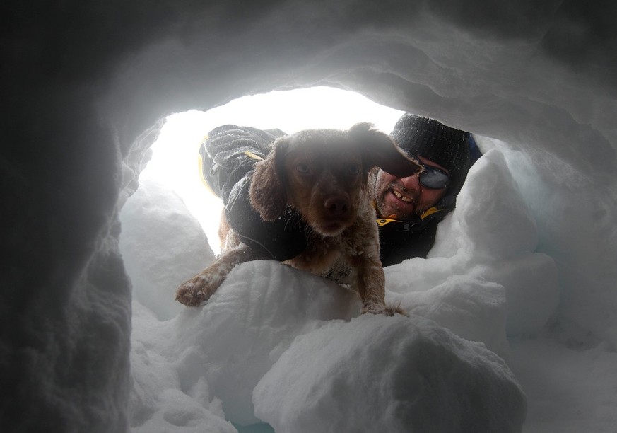 2011 wird Lawinenhund DJ oberhalb von Davos ausgebildet.
