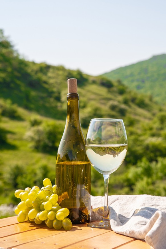 Outdoor picnics in the mountains. A picnic table set with white wine, cheese, fruits, grapes and bread stands in a meadow in green grass. The concept of secluded outdoor recreation