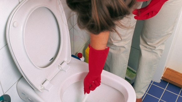 [Stockbild] Bathroom. Badezimmer. Toilet. WC. Toilette. Clean. Grooming. Putzen. Brush. WC Buerste. Woman. Frau. Housework. Hausarbeit. (KEYSTONE/Ayse Yavas) === , === : DIA, Nr. 156963]