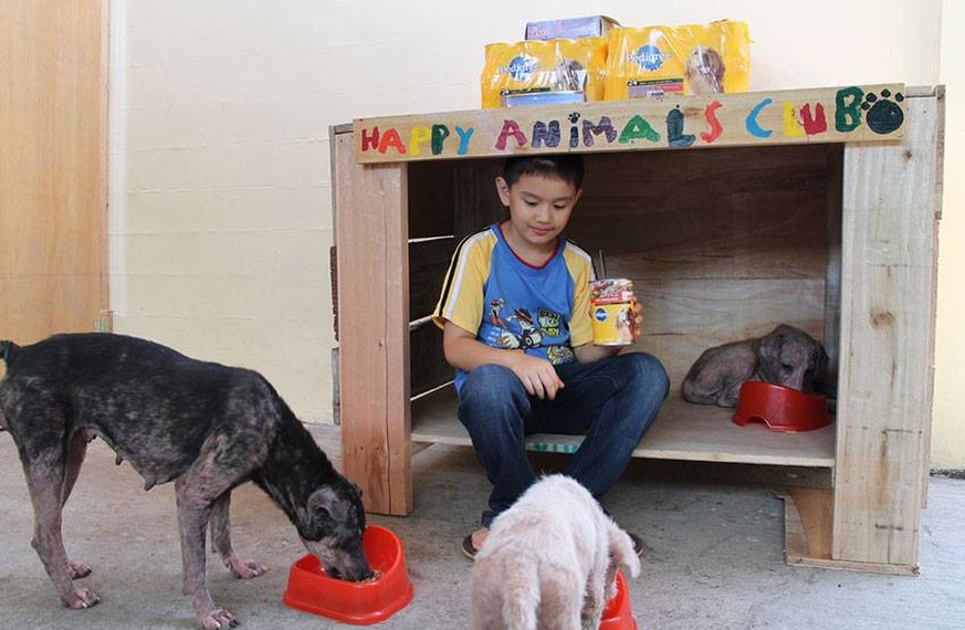 Philippinischer Junge gründet ein Tierheim und inspiriert so die ganze Welt