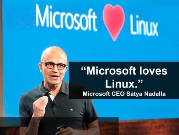 Microsoft hat seine rund 60'000 Patente im letzten Jahr frei verfügbar gemacht, um Linux- und Open-Source-Entwickler vor Patentklagen zu schützen.