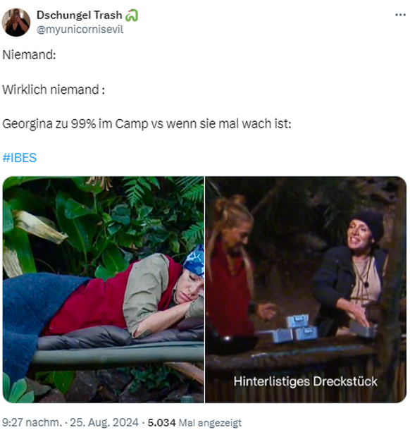 Dschungel Memes