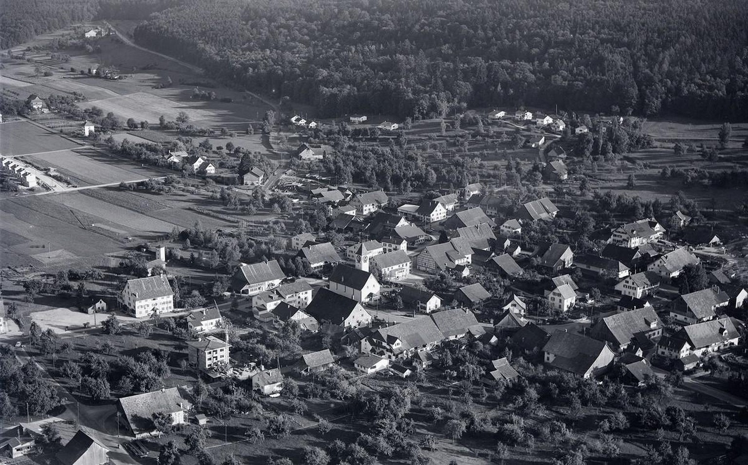 Im ländlichen Regensdorf findet Leopold Wölfling ein neues Zuhause. Allerdings nur mit Nebengeräuschen...
http://doi.org/10.3932/ethz-a-000363011