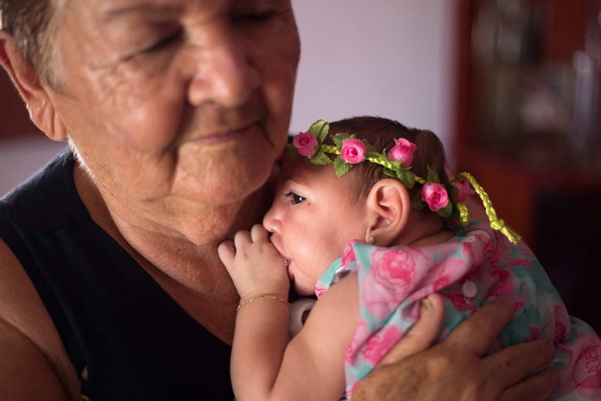 Das Zika-Virus löst Mikrozephalie bei Babys aus.&nbsp;