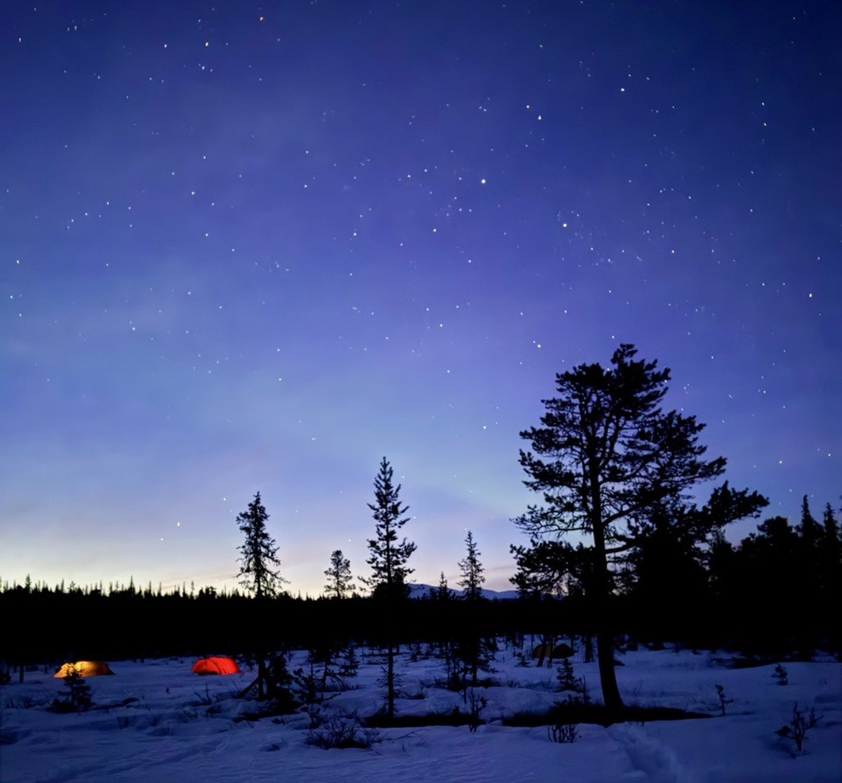 Fjällräven Polar 2026 Reto Fehr Schweden Lappland Schlittenhunde