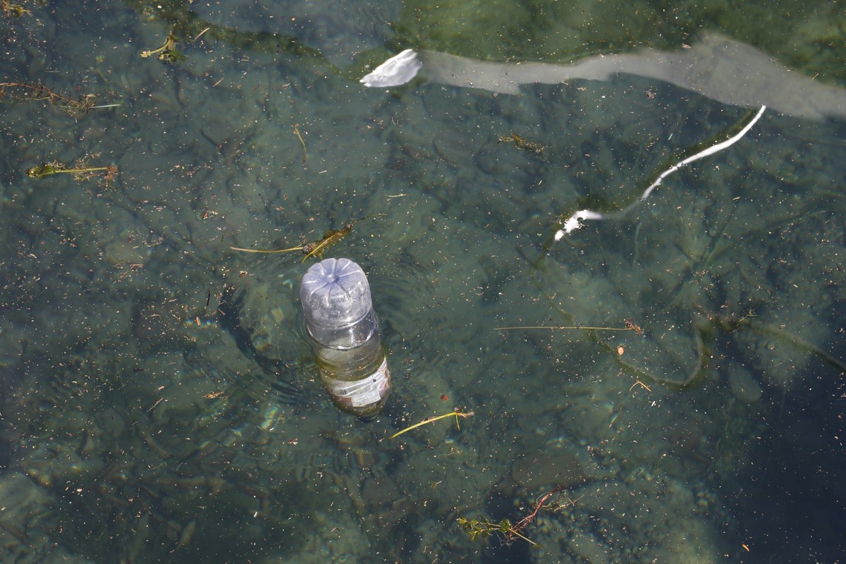 Switzerland. Geneva during summer. The Leman lake. Plastic bottle in the water.