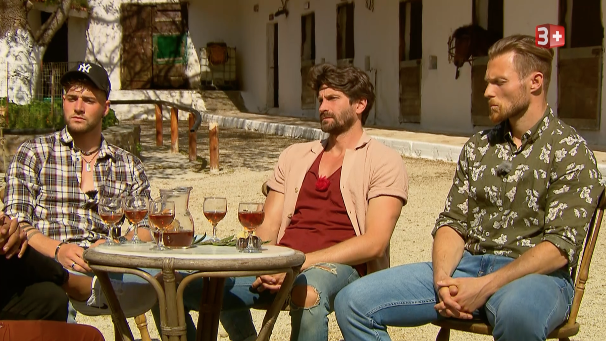Wie die Kandidaten so dreinschauen, wenn sie nach Dina gefragt werden.
