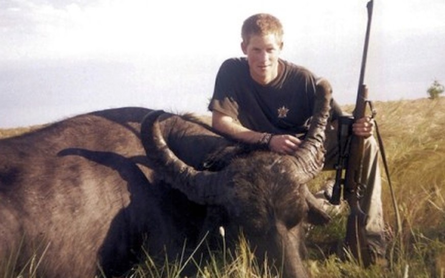 Der Zahnarzt als verhasster Löwenkiller, und was ist mit Prinz Harry?