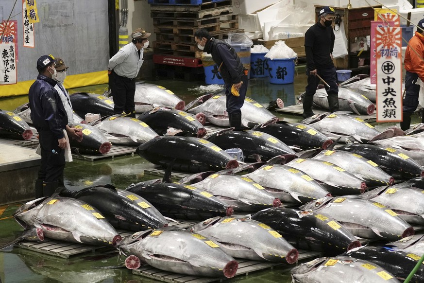 Prospective buyers inspect fresh tuna before the first auction of the year at the Toyosu Market in Tokyo Thursday, Jan. 5, 2023. (Kyodo News via AP)