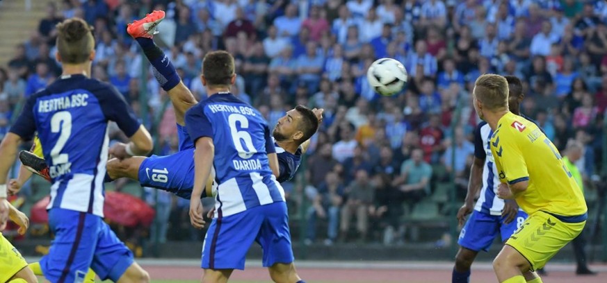 Vedad Ibisevic trifft akrobatisch und spektakulär zum Sieg.