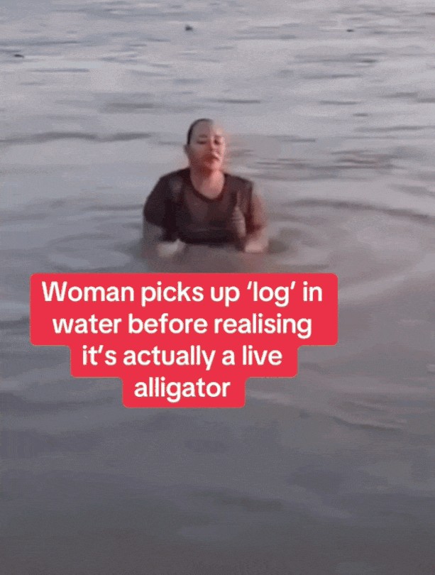 Animiertes GIF