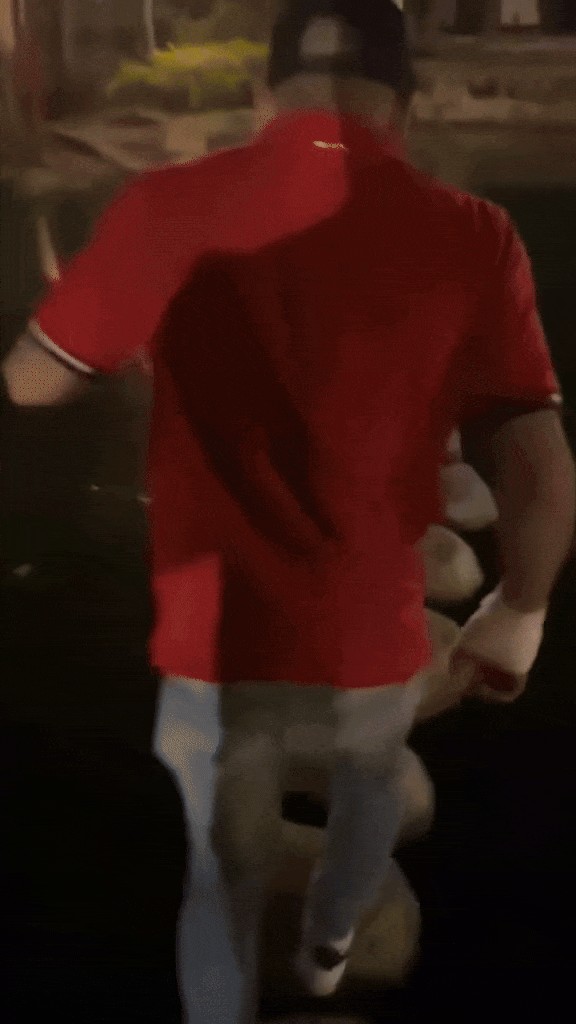 Animiertes GIF