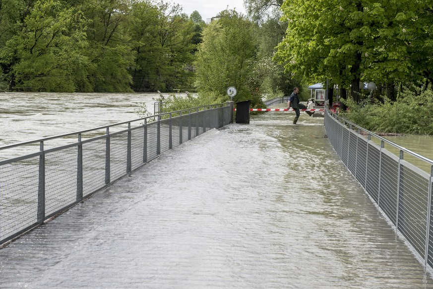 Die Aare beim Tierpark Dählhölzli in Bern.