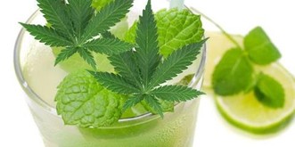 Komm, wir trinken eine Guuge! Hier kommen die Cannabis-Cocktails!