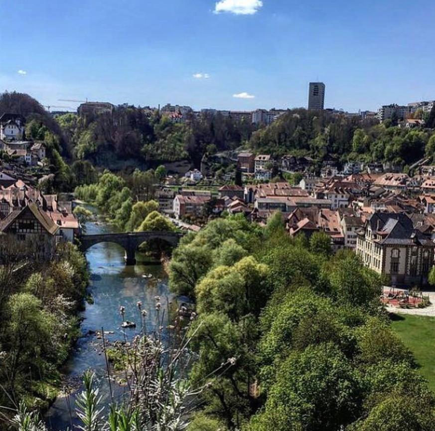 Fribourg Cafe du Belvedere