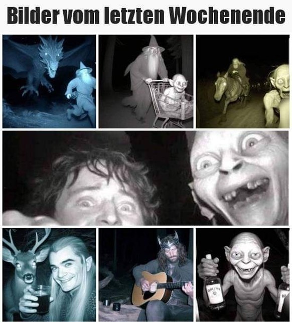 Bild