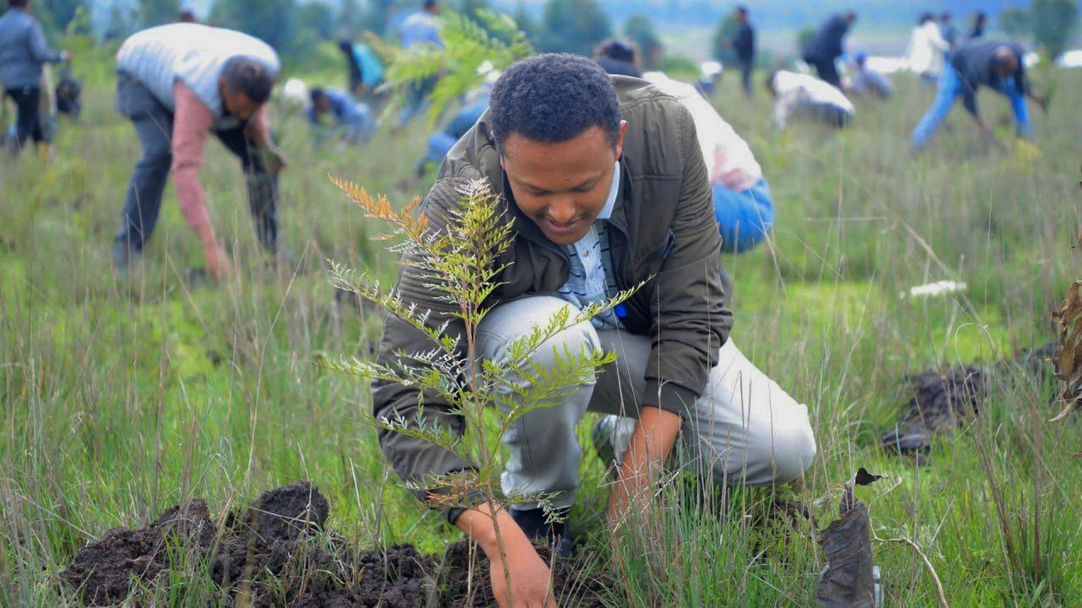 A participant plants local green plants in a park as part of Ethiopia's Green Legacy Initiative, which aims to plant 7.5 billion trees by the end of the year, at Jifara Ber site, Addis Ababa, Eth ...