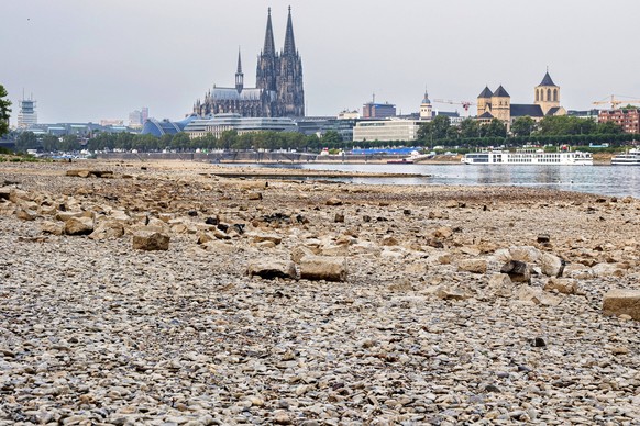 Niedrigwasser am Rhein in Koeln Foto vom 31.08.2026. Die Pegelstaende im Rhein grenzen teils an Tiefstwerten. In Koeln wird ein historischer Tiefstand befuerchtet. Das Niedrigwasser hat massive Auswir ...