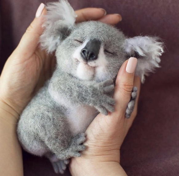 Aufgepasst! Herzige Tiere gibt&#039;s heute nur mit eurer UnterstÃ¼tzung!
Cuteness overloadð¨