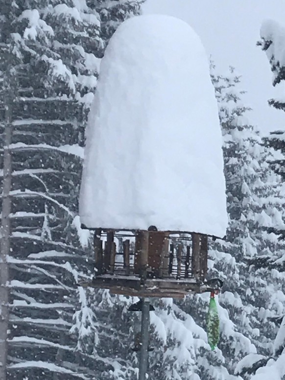 tel:
email:
Arosa versinkt im Schnee
Von: