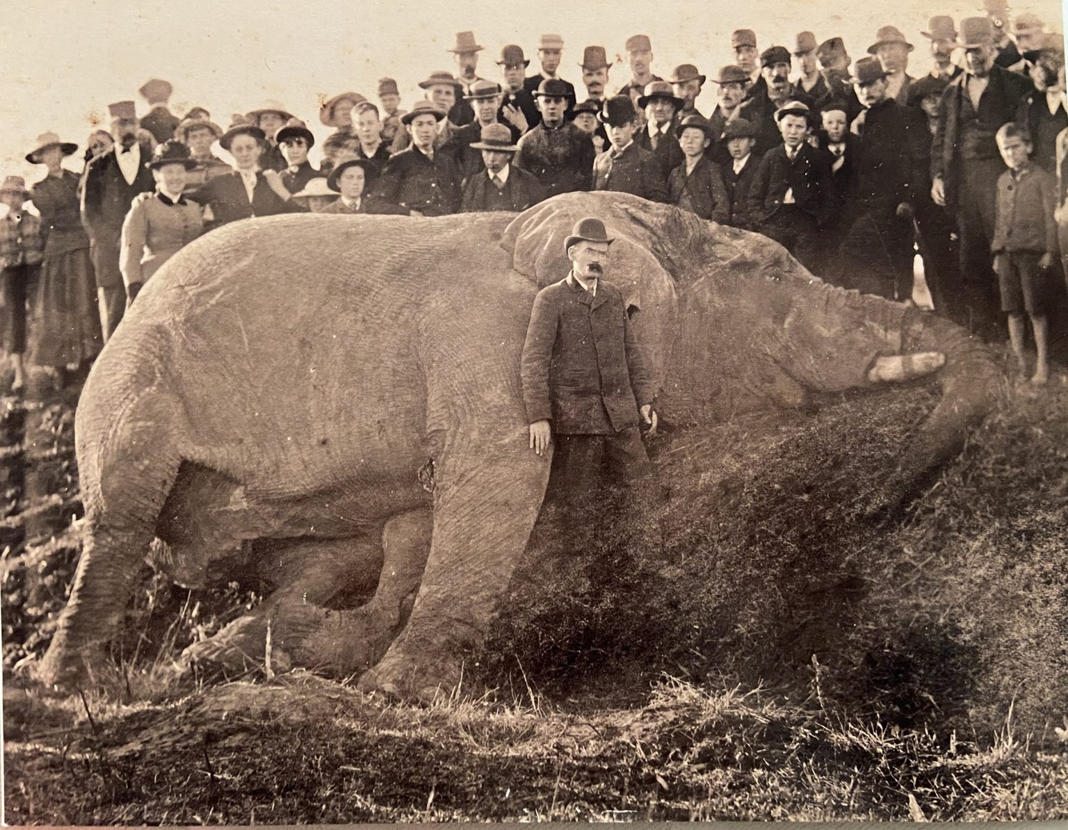 Der Pfleger Matthew Scott steht nach dem schrecklichen Unfall vor dem schwer verletzten Tier in St. Thomas, Ontario, wo der Elefant eine halbe Stunde später verstirbt, 15. September 1885.