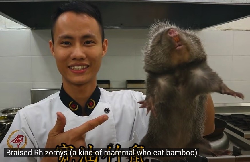 Bambusratte? Riesensalamander? Dieser chinesische YouTube-Star kocht dir alles