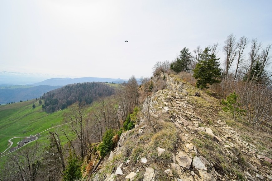 Vogelberg Solothurn Beste Frühlingswanderungen Schweiz