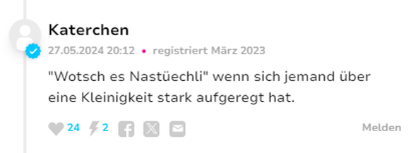 Jungedjargon watson Userinput