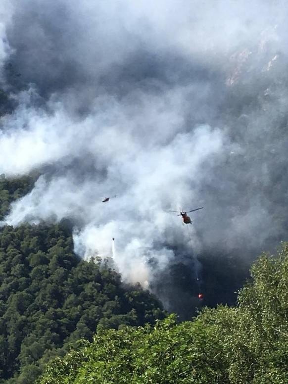 Mehrere WaldbrÃ¤nde in Schweden nicht mehr zu lÃ¶schen
Auch bei uns brennt es Ã¼brigens. Seit einer Woche, oberhalb von Maggia. 2-3 Helis sind im Dauereinsatz.
Foto: HELI-TV auf Facebook