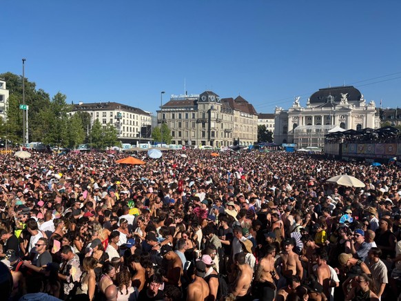 <p>Der Blick vom VIP-Bereich beim Sechseläutenplatz aus.</p>
