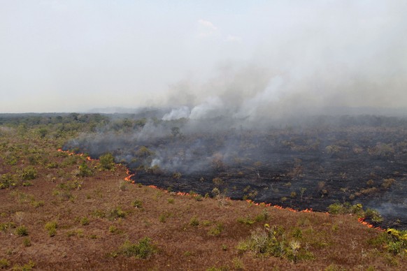 In this photo released by IBAMA, the Brazilian Environmental and Renewable Natural Resources Institute, a forest fire burns in Xingu Indigenous Park in Mato Grosso in Brazil&#039;s Amazon basin on Aug ...