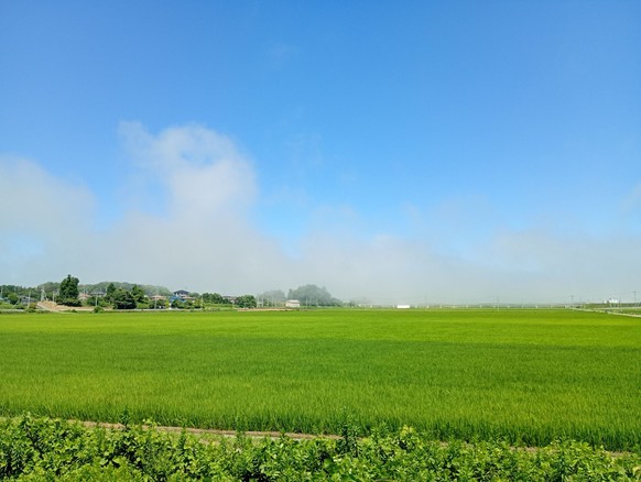 Von der Küste her kommt dichter Nebel, ausgelöst durch den Tsunami.
