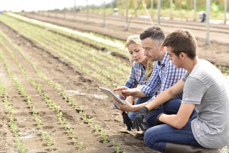 landwirtschaft, lehrling, lehre landwirt, landwirtin