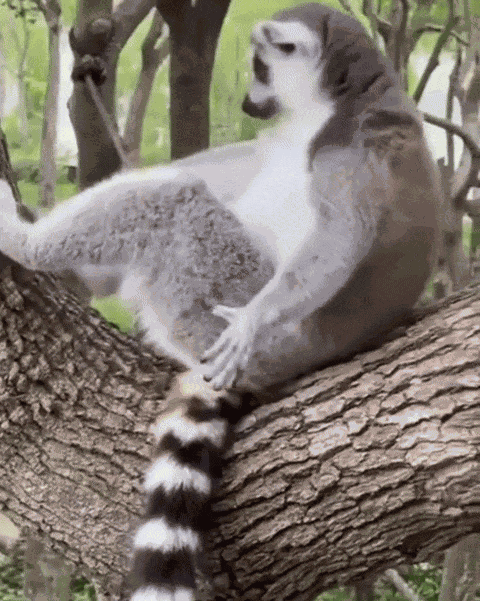 Animiertes GIF
