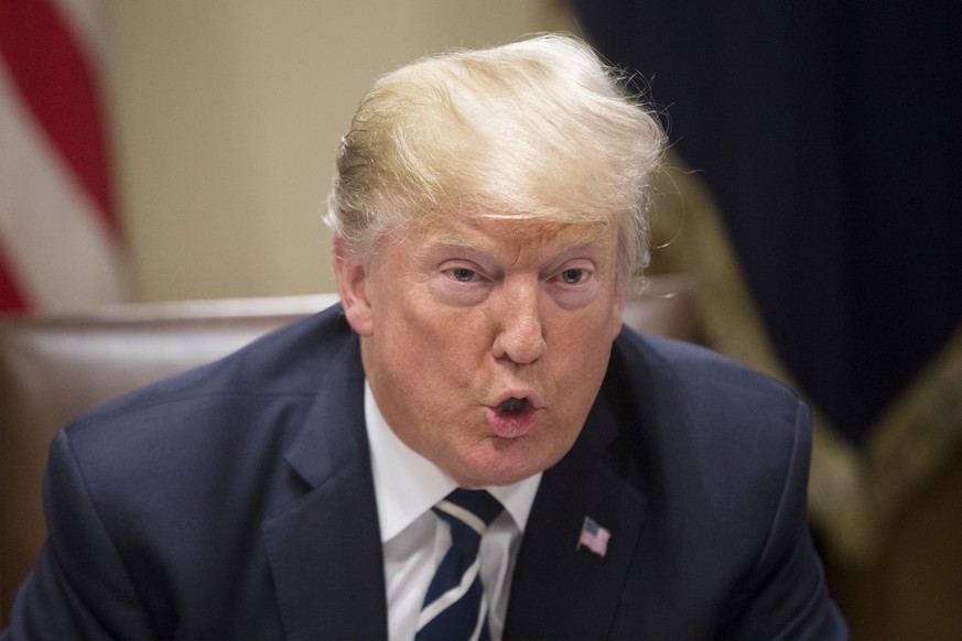 epa06895314 US President Donald J. Trump delivers remarks to members of the news media while meeting with members of Congress in the Cabinet Room of the White House in Washington, DC, USA, 17 July 201 ...