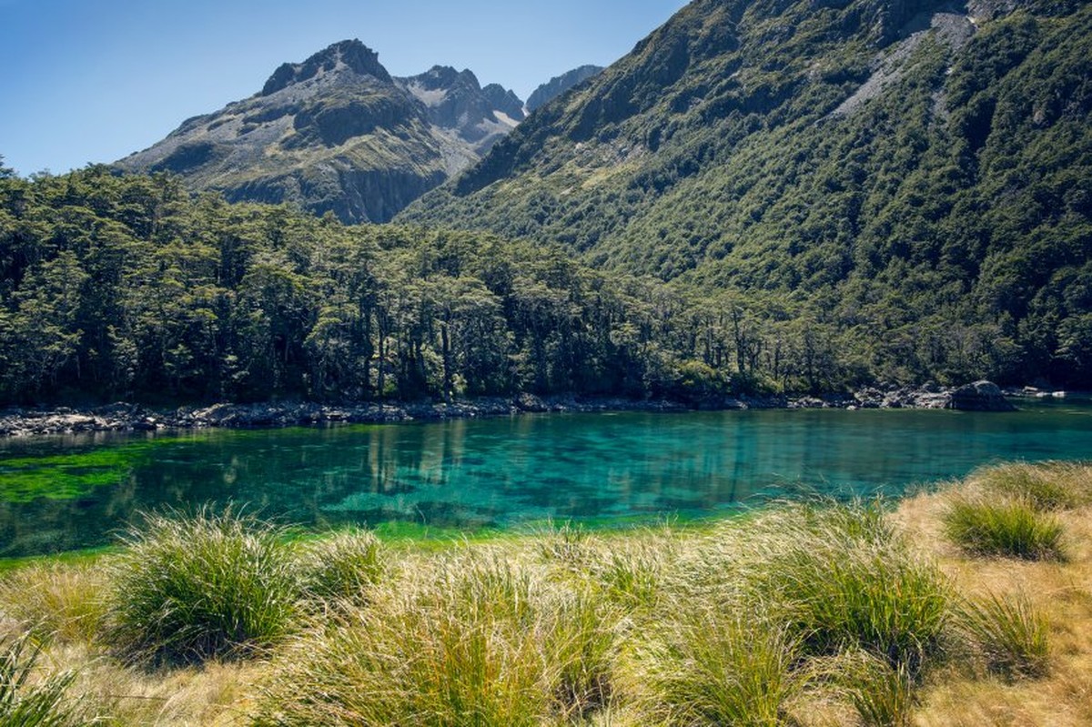 Working closely with New Zealand's Department of Conservation, photographer Klaus Thymann was allowed to conduct the first ever dive in the lake.
