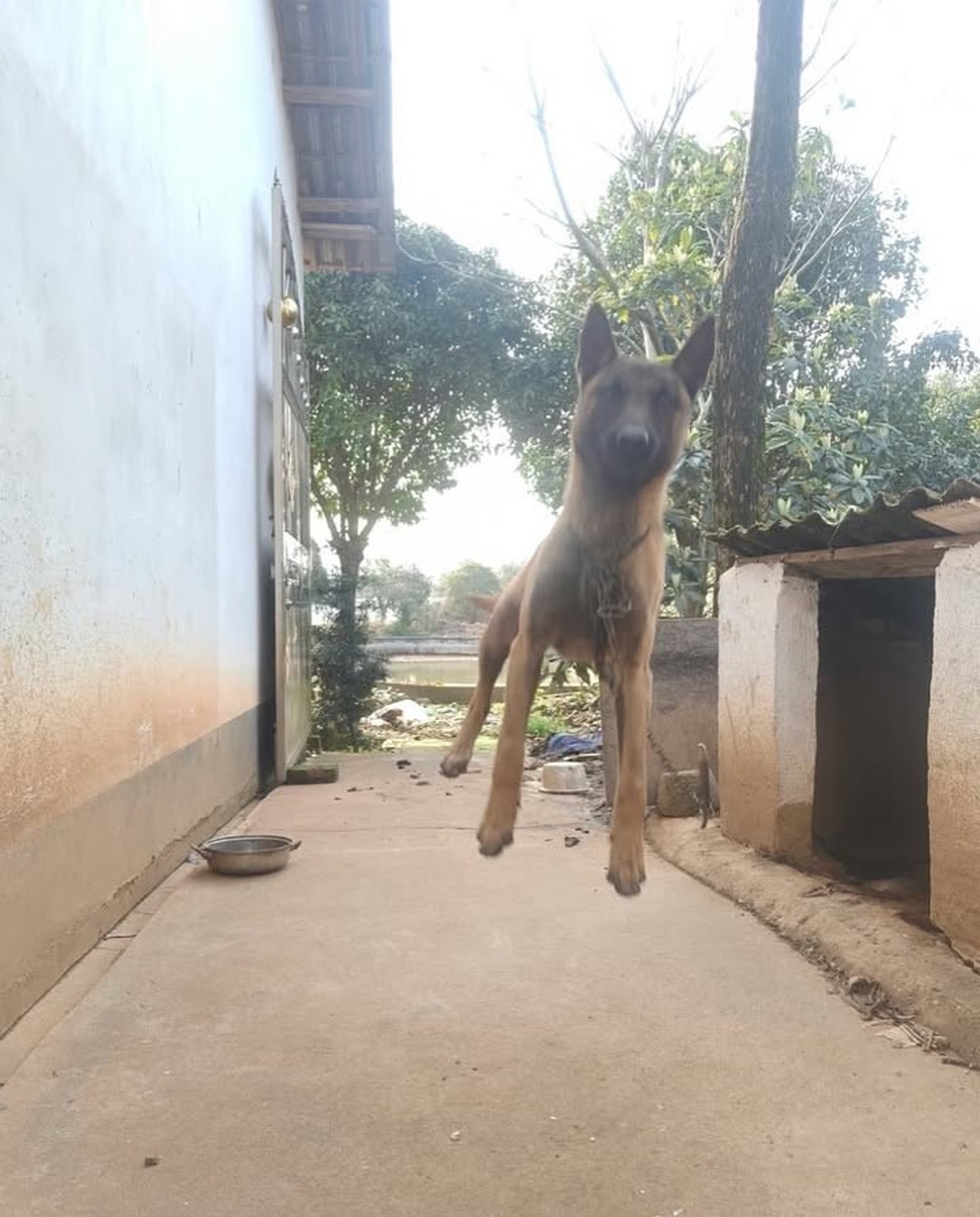 cute news tier hund

https://www.instagram.com/p/DIRAPOBCPfE/?img_index=3