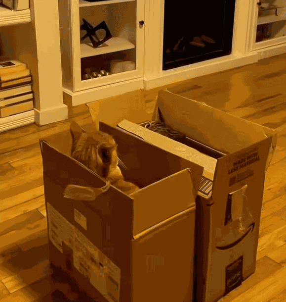 Animiertes GIF
